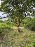Продава ПАРЦЕЛ, град Варна, м-т Боровец - юг • 53000 € / 103658.99 лв. • 75523605 3