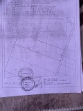 Продава  Земеделска земя област Пловдив , с. Отец Паисиево , 15 дка | 44686550 - изображение [7]
