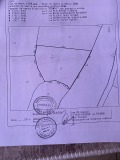 Продава  Земеделска земя област Пловдив , с. Отец Паисиево , 15 дка | 44686550 - изображение [4]