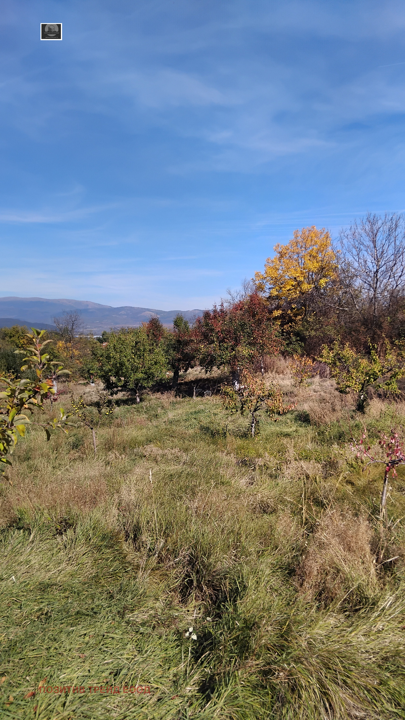 ������� ������ | Imot.bg � ����������� 1