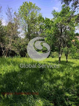 ������� ���� | Imot.bg � ����� ������ 8
