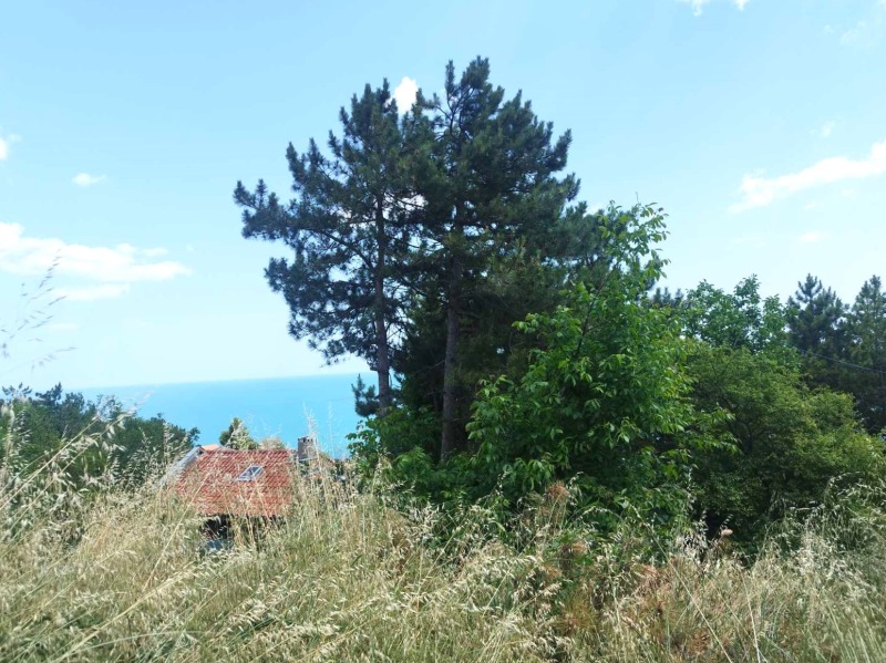 À venda  Trama região Dobrich , Baltchik , 429 m² | 12125373 - imagem [8]