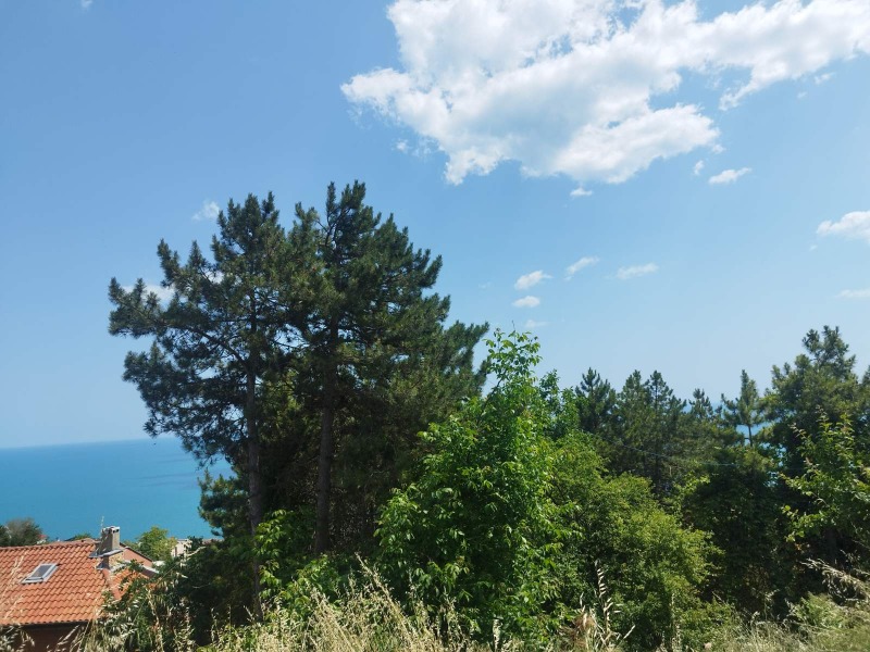 À venda  Trama região Dobrich , Baltchik , 429 m² | 12125373 - imagem [6]