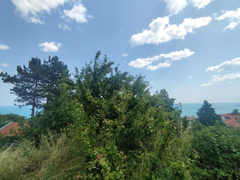 À venda  Trama região Dobrich , Baltchik , 429 m² | 12125373 - imagem [5]