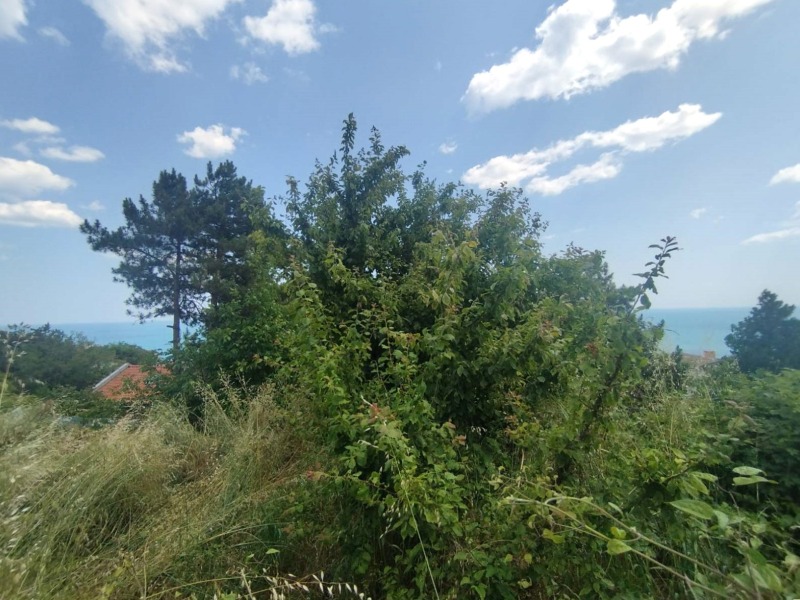 À venda  Trama região Dobrich , Baltchik , 429 m² | 12125373 - imagem [4]