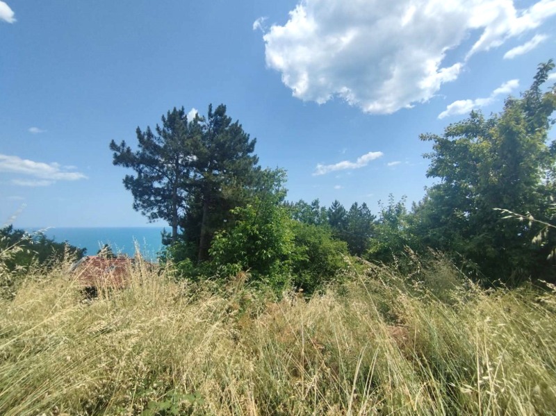 À venda  Trama região Dobrich , Baltchik , 429 m² | 12125373 - imagem [7]
