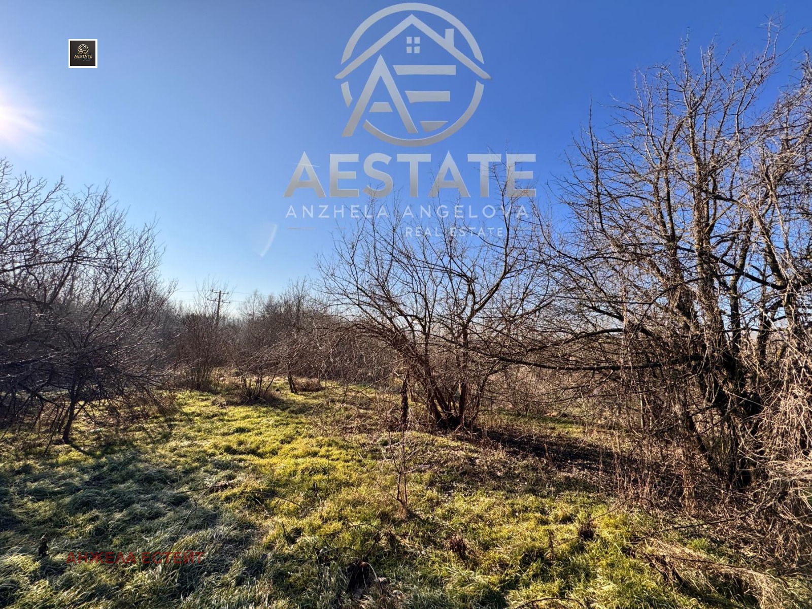 Продава ПАРЦЕЛ, с. Опанец, област Плевен, снимка 2 - Парцели - 53681059