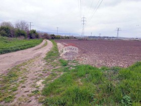 Plot Topoli, Varna