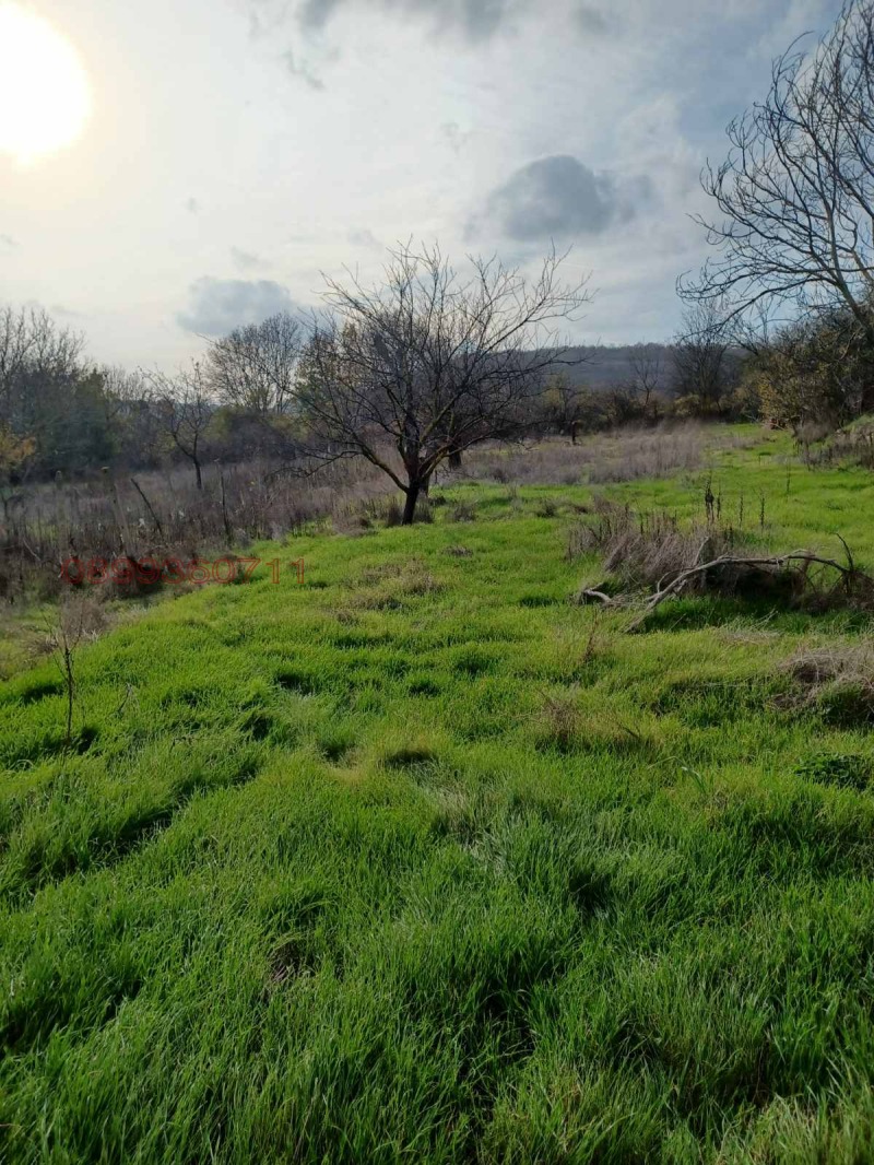 Продава КЪЩА, с. Генерал Кантарджиево, област Варна, снимка 10 - Къщи - 52782220