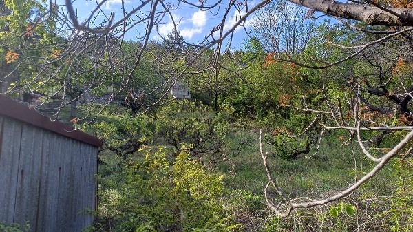 Til salg  Grund region Plovdiv , Asenovgrad , 60 kvm | 79235931