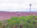 Продава ПАРЦЕЛ, град Варна, с. Тополи • 163830 € / 320423.63 лв. • 14021862 4