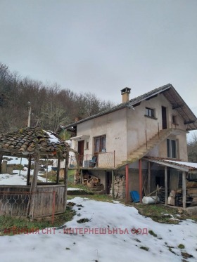 Hus Busintsi, region Pernik 2