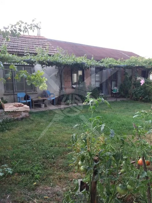 Til salg  Hus region Burgas , Gorovo , 1580 kvm | 77207225