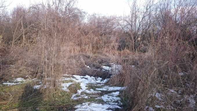 Продава КЪЩА, с. Патреш, област Велико Търново, снимка 2 - Къщи - 54627715