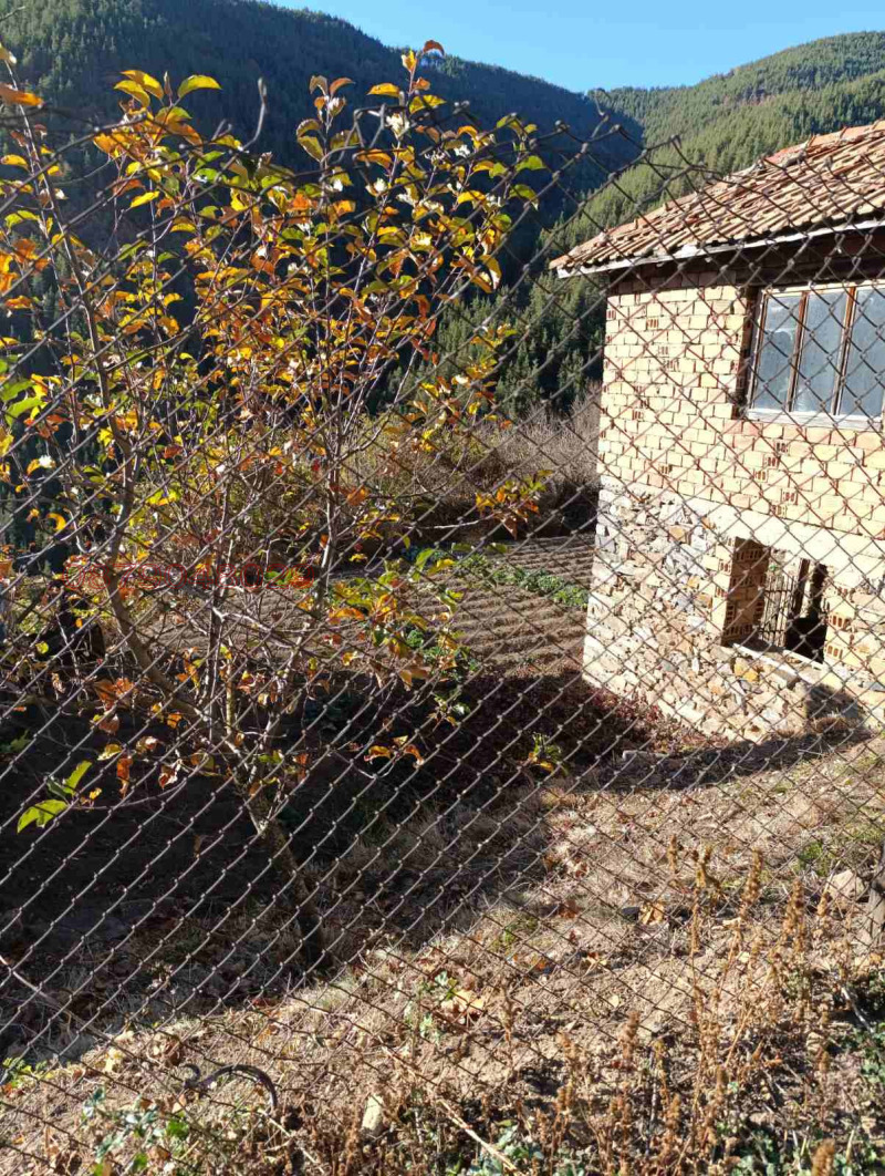 Продава КЪЩА, с. Брезе, област Смолян, снимка 6 - Къщи - 52785104