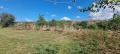 Продава ПАРЦЕЛ, с. Топчии, област Разград, снимка 2