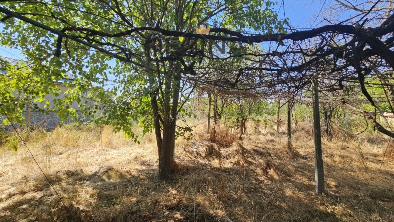 Προς πώληση  σπίτι περιοχή Plovdiv , Χησαρια , 120 τ.μ | 52137705 - εικόνα [5]