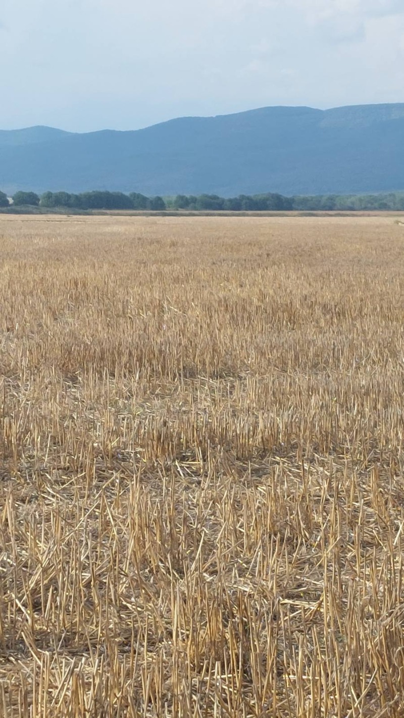 Продава ПАРЦЕЛ, с. Тънково, област Бургас