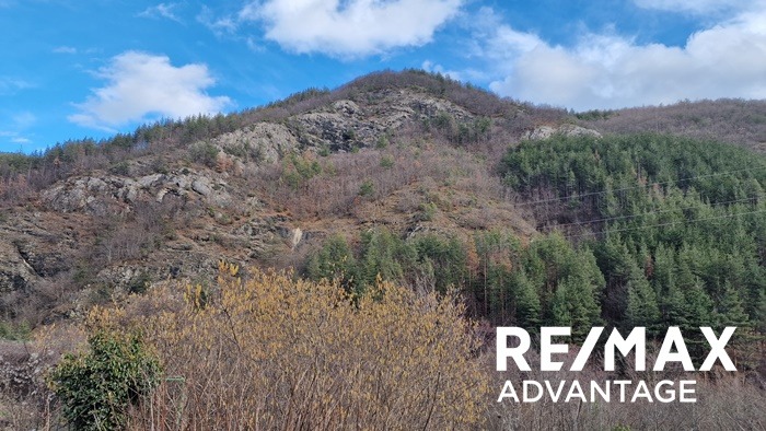 Продава БИЗНЕС ИМОТ, с. Хвойна, област Смолян, снимка 3 - Други - 53424336