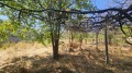 Продава КЪЩА, област Пловдив, гр. Хисаря • 55000 € / 107570.65 лв. • 27009424 5