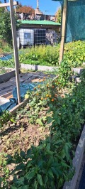 Продава КЪЩА, област Плевен, с. Горна Митрополия • 100000 € • 55596252 — Holmes.bg