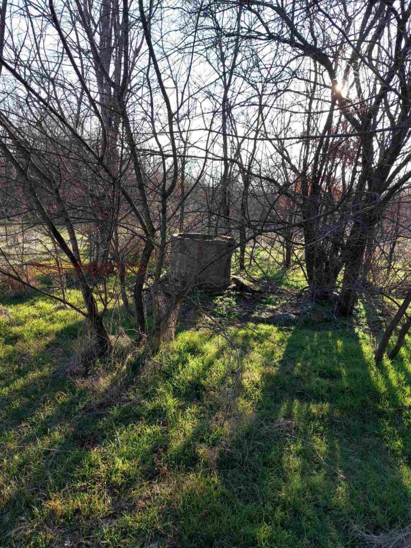 Продава КЪЩА, с. Генерал Тошево, област Ямбол, снимка 2 - Къщи - 52785655