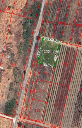 ����� ������� ������,�. ��������, ������ �������