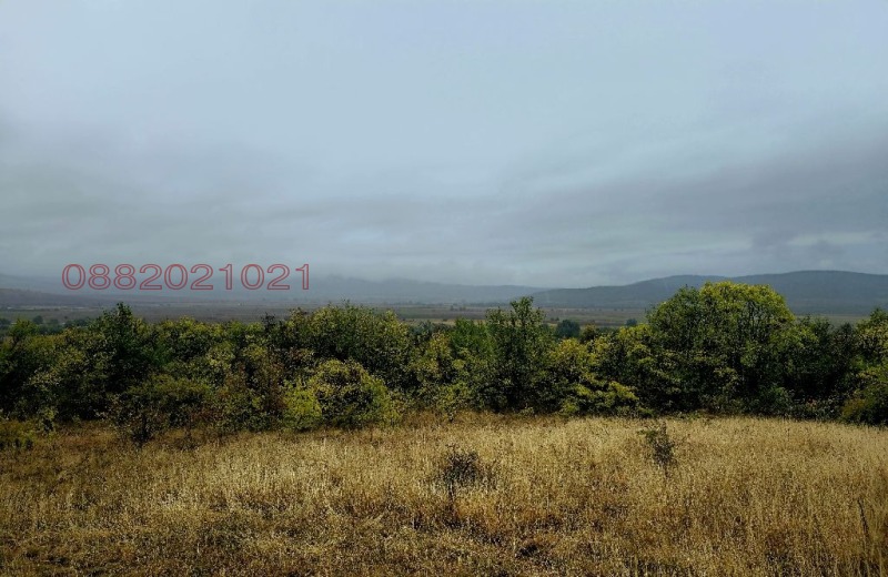 Продава  Парцел област Перник , с. Долна Диканя , 1600 кв.м | 56263729