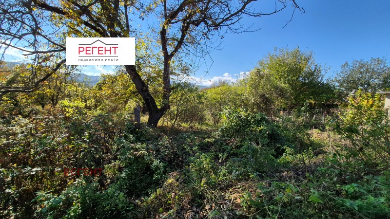 Продава ПАРЦЕЛ, с. Гъбене, област Габрово, снимка 6 - Парцели - 52536060