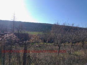 ����� ������� ������,���� �����, �.�. ���������