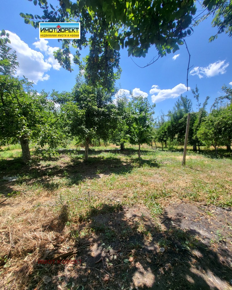 Продава  Къща област Пазарджик , гр. Септември , 186 кв.м | 58236573 - изображение [4]
