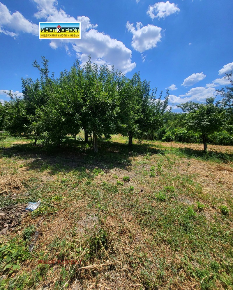 Продава  Къща област Пазарджик , гр. Септември , 186 кв.м | 58236573 - изображение [3]
