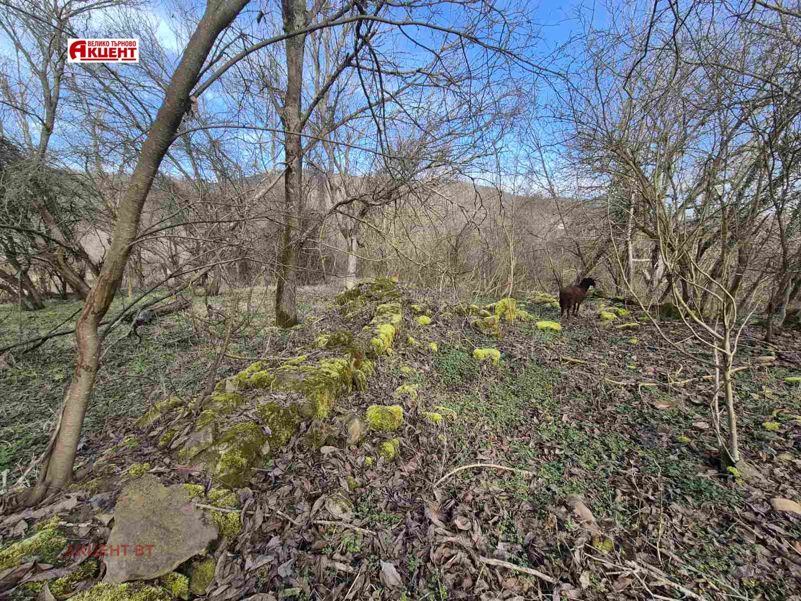 ������� ������ | Imot.bg � ����������� 4