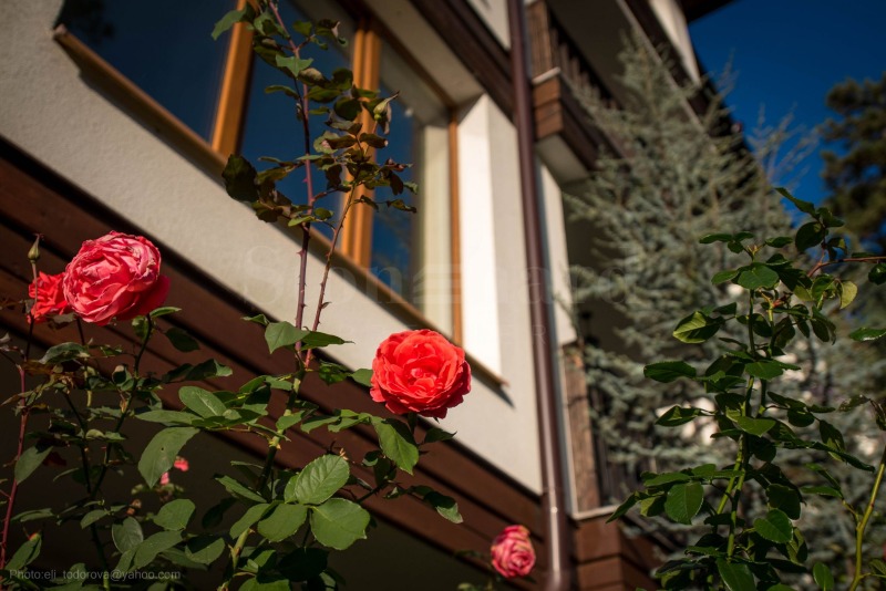 Eladó  1 hálószoba régió Burgasz , Sozopol , 67 négyzetméter | 11814116 - kép [7]