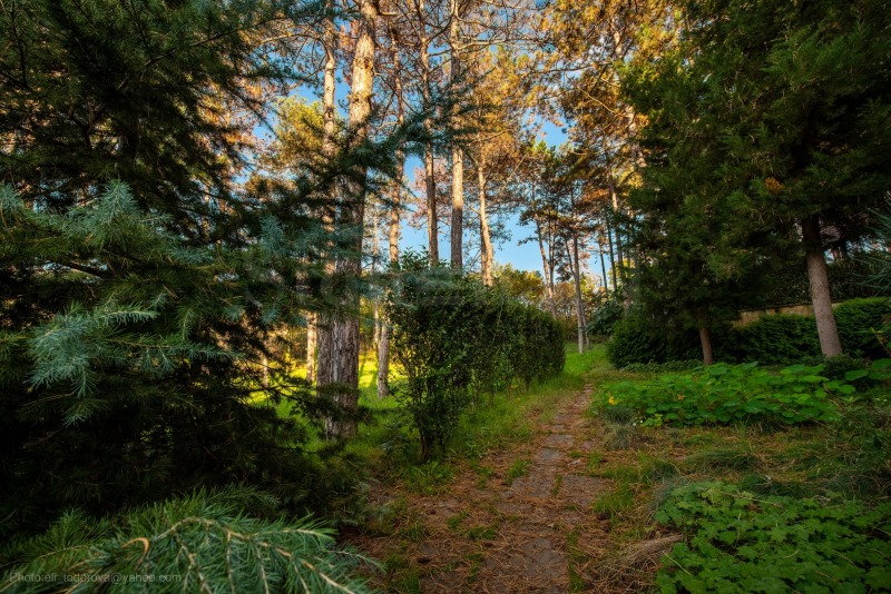 Eladó  1 hálószoba régió Burgasz , Sozopol , 67 négyzetméter | 11814116 - kép [10]