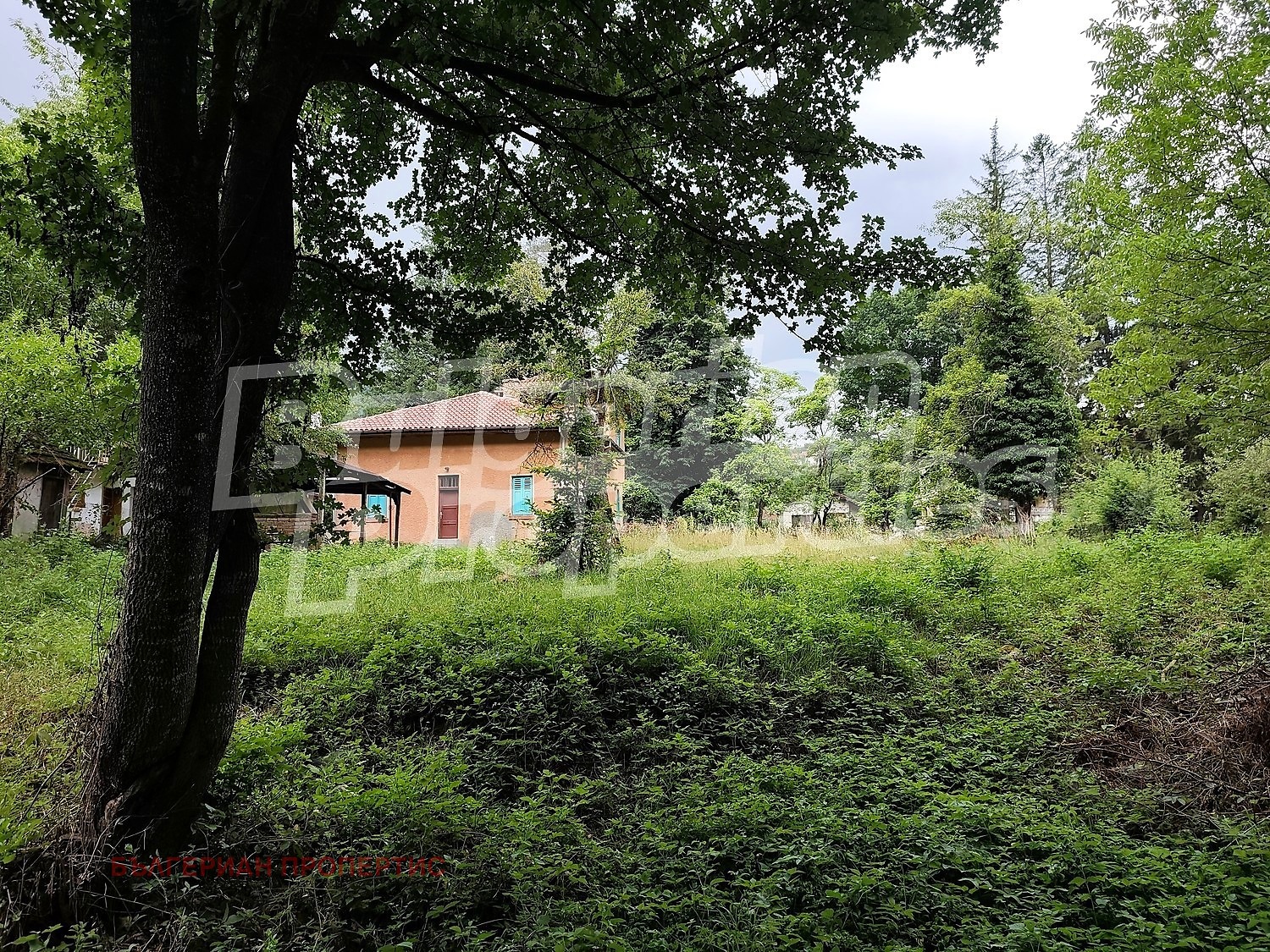 Продава КЪЩА, с. Рибарица, област Ловеч, снимка 2 - Къщи - 54424099