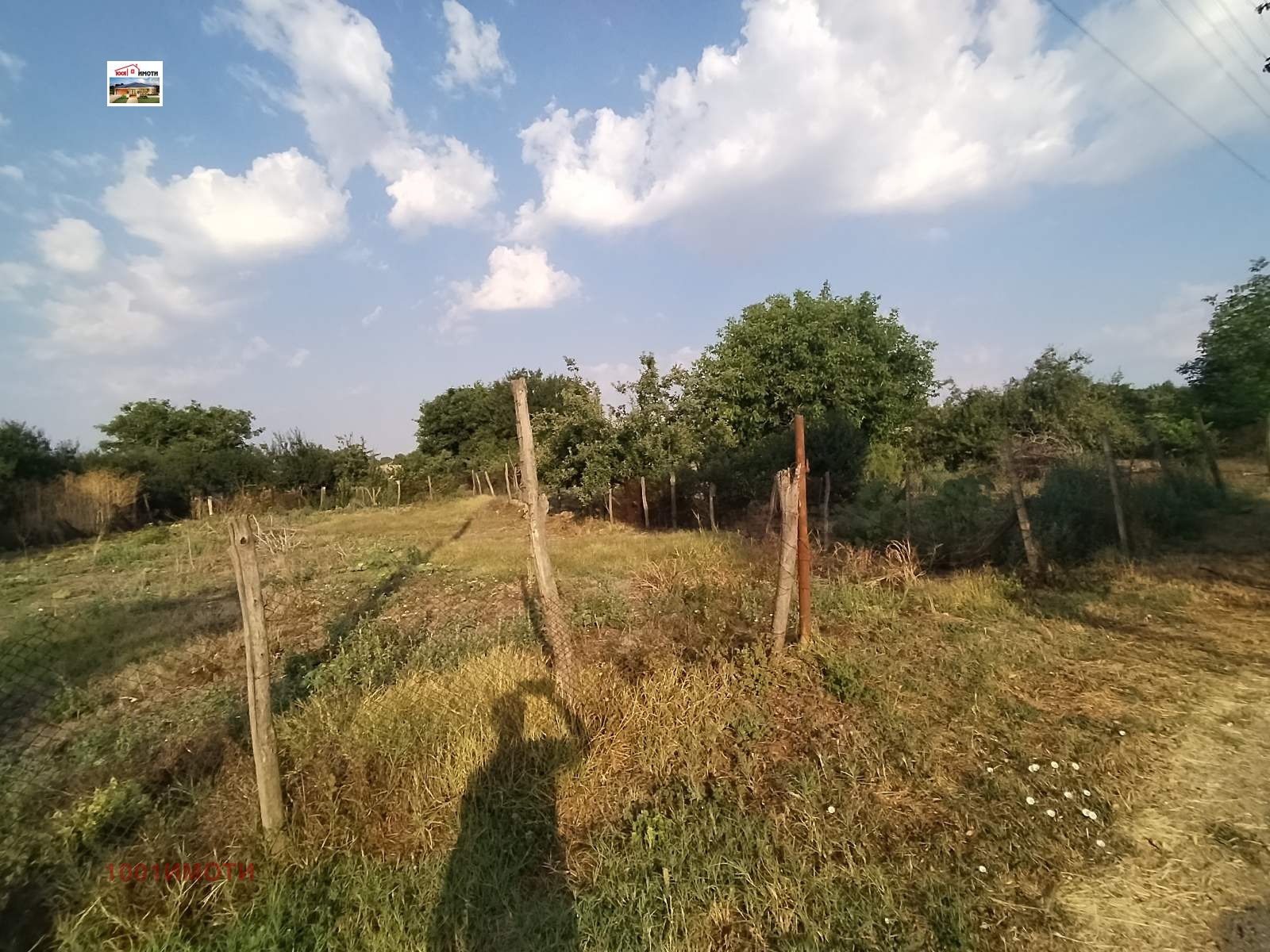 Продава ПАРЦЕЛ, с. Малина, област Добрич, снимка 2 - Парцели - 45320334