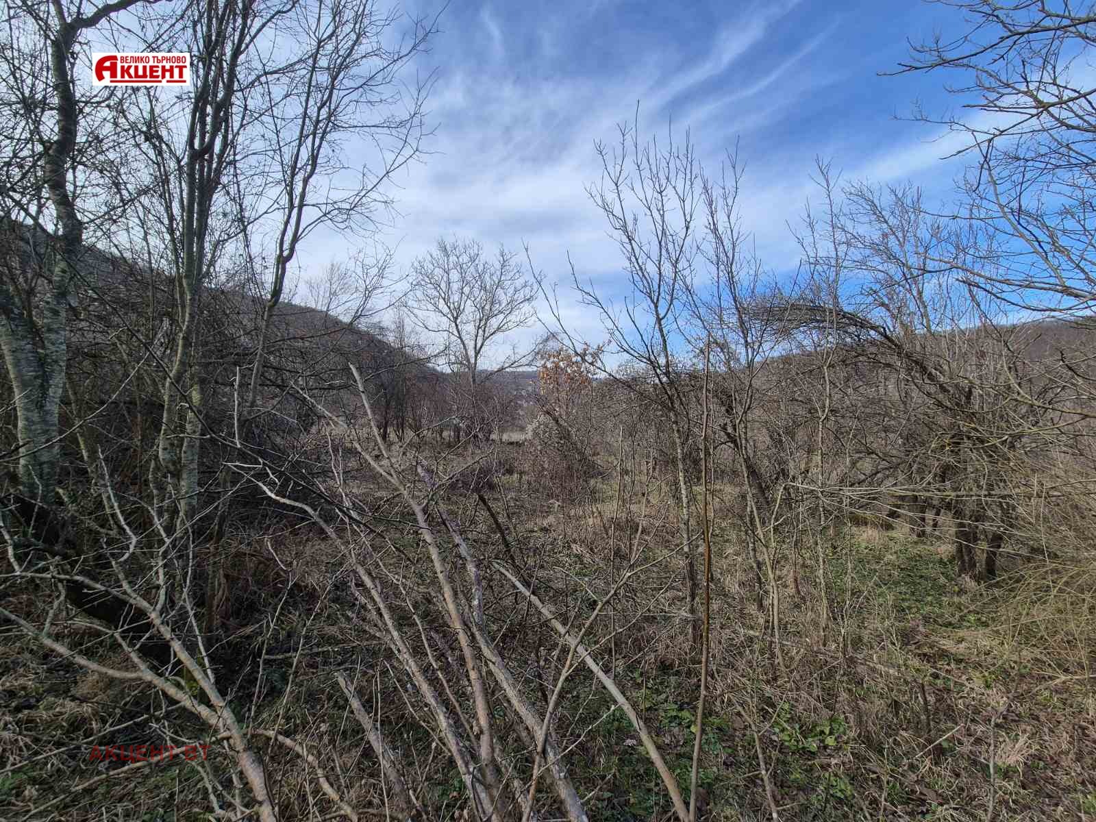 Продава ПАРЦЕЛ, с. Сливовица, област Велико Търново, снимка 5 - Парцели - 53628797