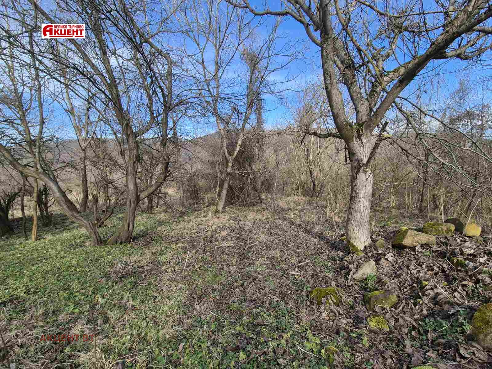 Продава ПАРЦЕЛ, с. Сливовица, област Велико Търново