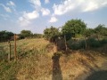Продава ПАРЦЕЛ, с. Малина, област Добрич, снимка 3