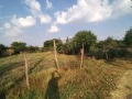 Продава ПАРЦЕЛ, с. Малина, област Добрич, снимка 2