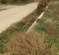 Продава ПАРЦЕЛ, област Пловдив, гр. Карлово • 81500 € / 159400.14 лв. • 30664329 2