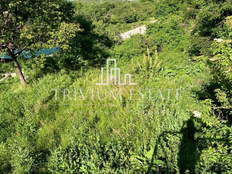 For Sale  House region Plovdiv , Ruen , 168 sq.m | 93161957 - image [4]