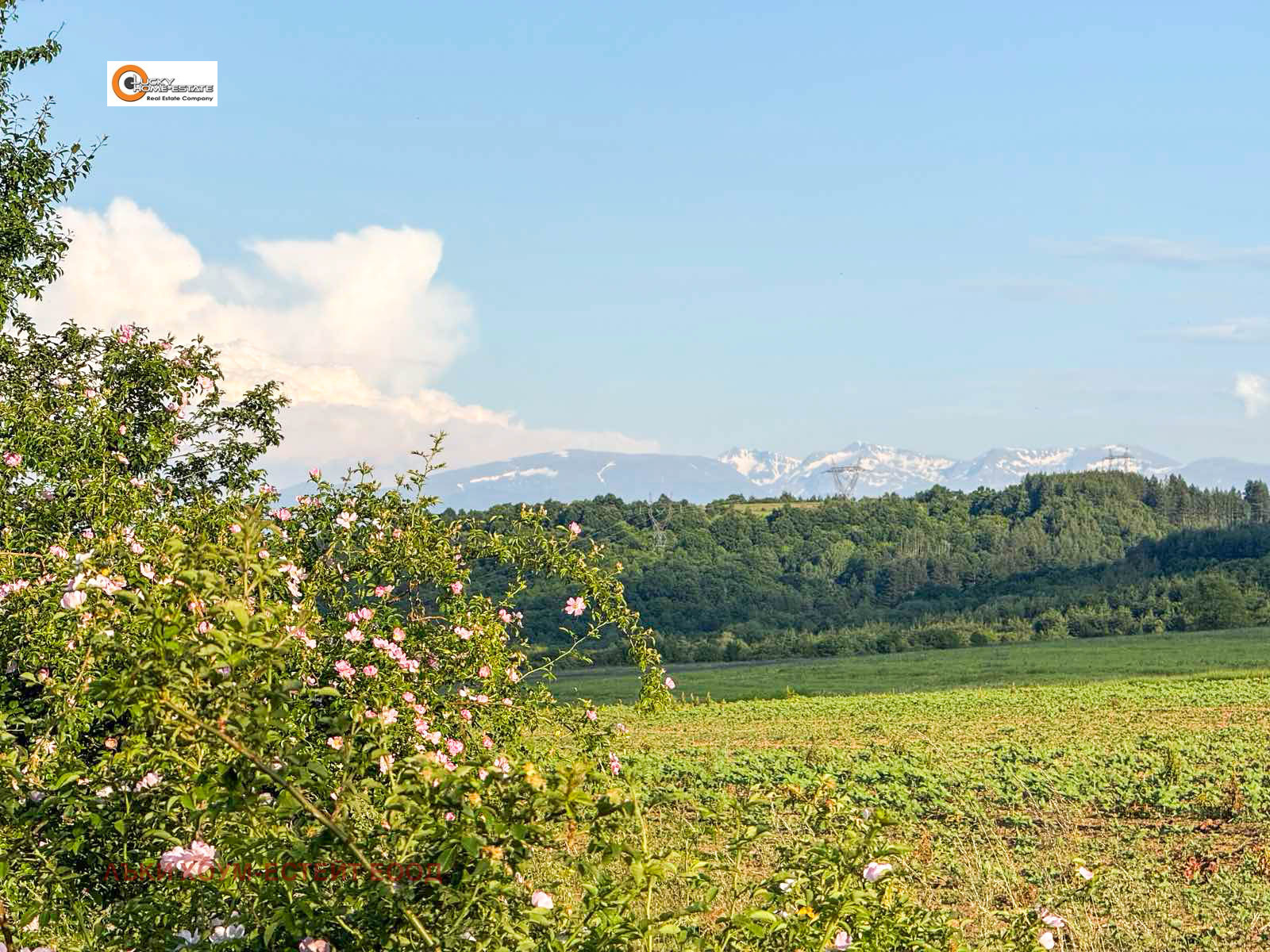 Продава КЪЩА | Imot.bg — изображение 3