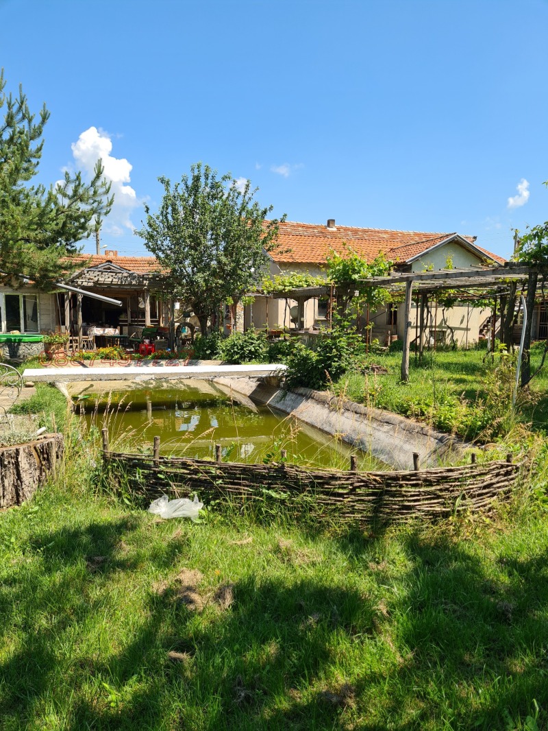 Продава ПРОМ. ПОМЕЩЕНИЕ, гр. Дулово, област Силистра, снимка 10 - Производствени сгради - 52783087