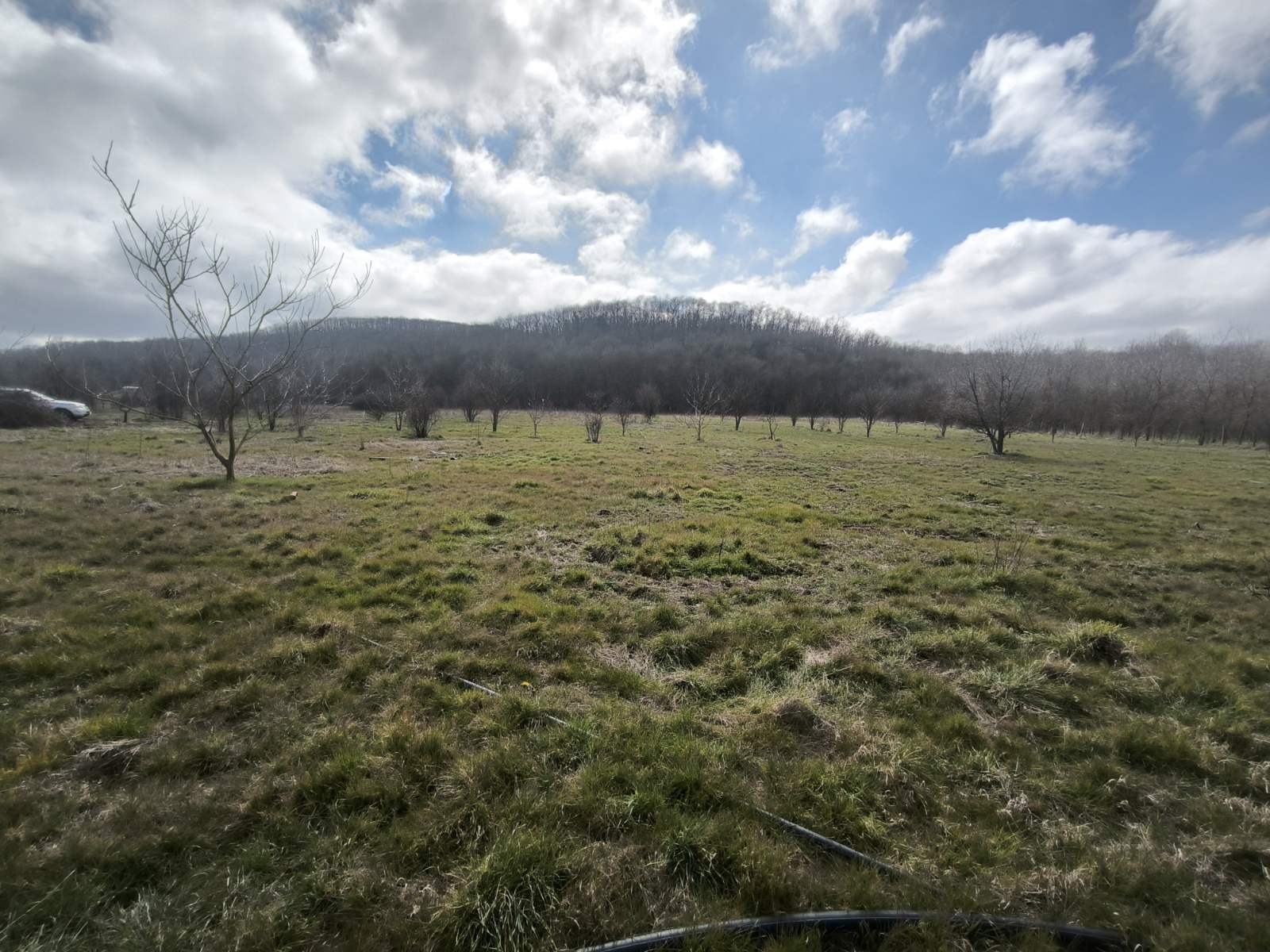 ������� ���������� ���� | Imot.bg � ����������� 3