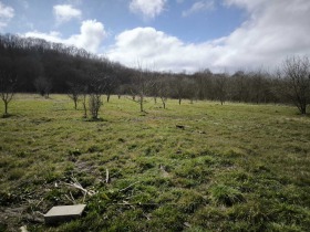 ����� ������� ���������� ����,�. ���� ������, ������ ������