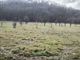 ������� ���������� ���� | Imot.bg � ����� ������ 4