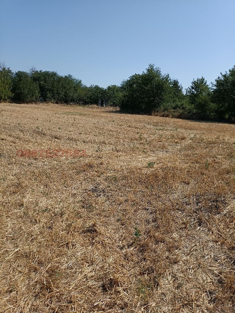 Продава ПАРЦЕЛ, с. Ловец, област Стара Загора, снимка 3 - Парцели - 53039797