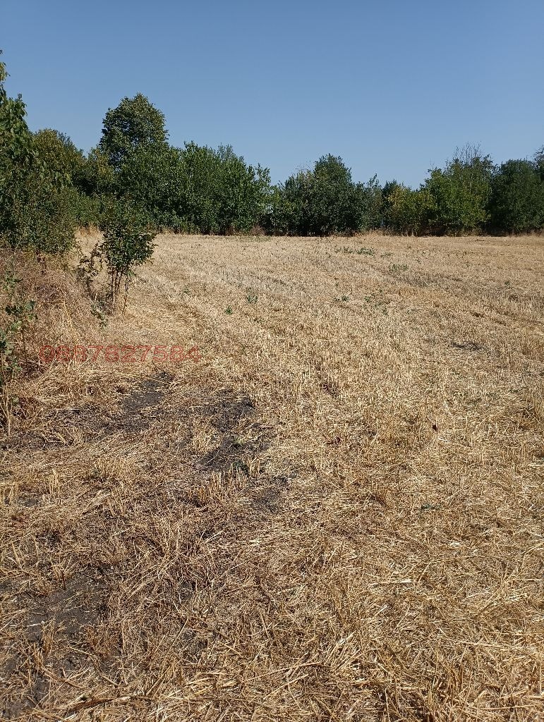 Продава ПАРЦЕЛ, с. Ловец, област Стара Загора, снимка 2 - Парцели - 53039797